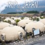 2박 3일 일본 규슈 패키지여행 첫 숙소 아소팜 빌리지 :: 동글동글 귀여운 집들이 모여있는 동화마을