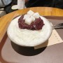 판교 현대백화점 태극당, 빙수 밀탑만큼 맛있는 내돈내산 후기 (주간일기)