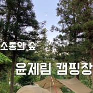 51st 캠핑 전남 보성 윤제림 캠핑장