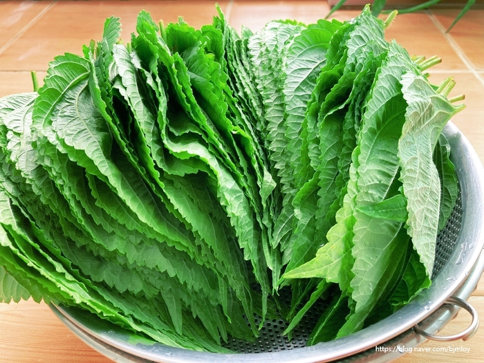 깻잎 세척 / 깻잎 씻는법 / 깻잎 삭히기 : 네이버 블로그