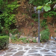 전원주택 마당 DIY 셀프 디딤석 디딤돌 예쁜 정원 화단 꾸미기