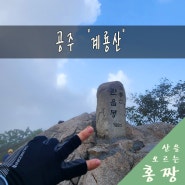 공주 계룡산 남매탑~삼불봉~관음봉~동학사 코스