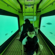 제주 함덕 국제리더스클럽 반잠수함 펭귄잠수함, 투명카약