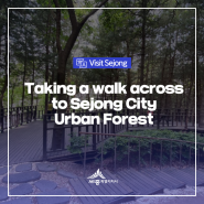 Taking a walk across to Sejong City Urban Forest