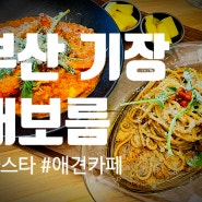 부산 기장 파스타 맛집 대보름 - 포토존 가득한 애견 카페 & 모임장소 추천!