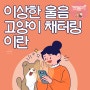 냥이의 이상한 울음 고양이 채터링이란