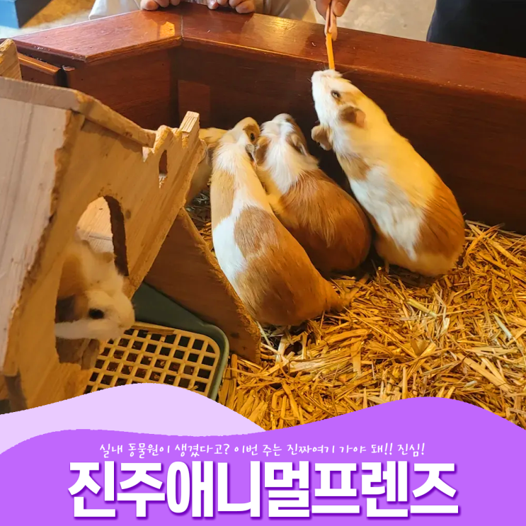 실내 동물원이 생겼다고! 깜찍한 동물이 가득한 진주애니멀프렌즈