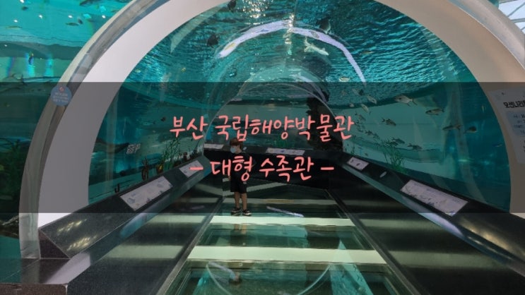 부산 영도 국립해양박물관 실내 추천 여행지 : 네이버 블로그