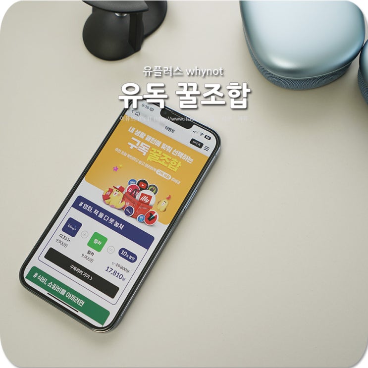 유플러스 whynot 유독, 어떤 조합이 꿀조합? : 네이버 블로그