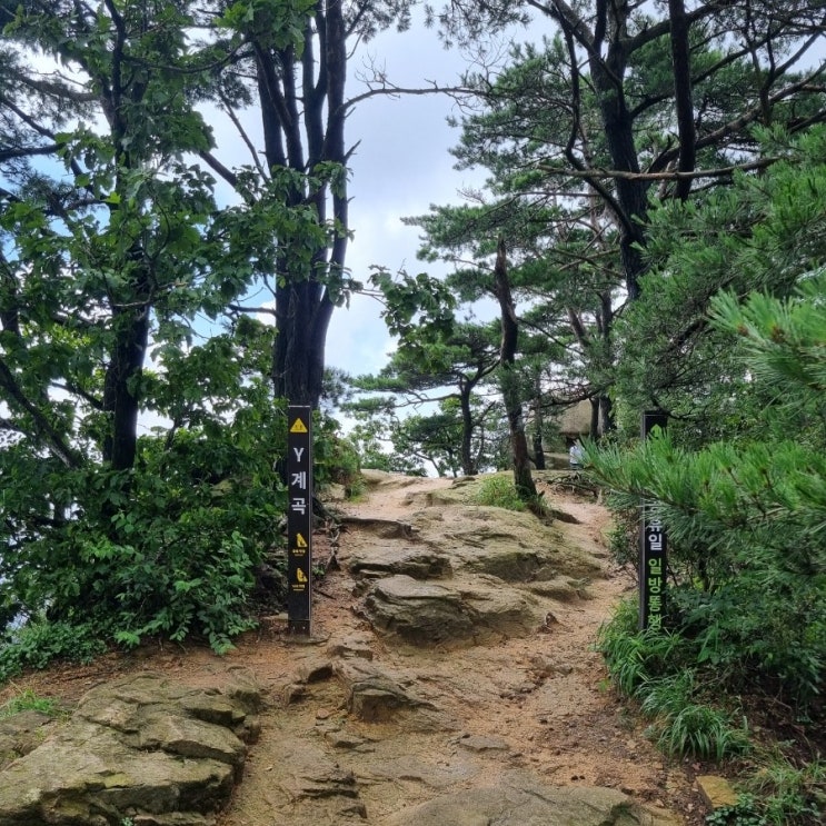 블랙야크 한북정맥 도봉산 Y계곡 코스 인증 방법 : 네이버 블로그