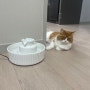 하우롱 고양이정수기 CAKE 세라믹 저소음 음수대