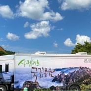 해피무브 the Green 계룡산 국립공원(수통골분소) 봉사활동 후기