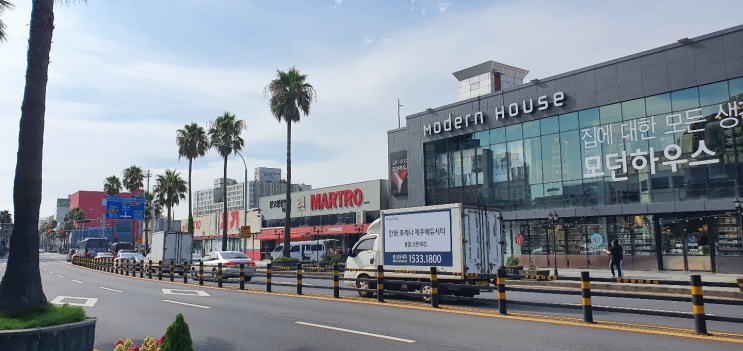 [제주도/횟집] 제주도에 가성비 회를 찾는 사람이 꼭 방문 한다는 