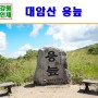 강원도 인제 가볼만한곳 한국100대 명산 대암산 용늪