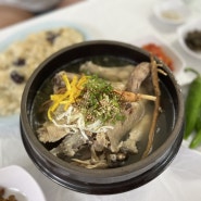 [양양 맛집] '거목정' 법수치계곡에서 물놀이하고 먹는 몸보신 '토종닭 한방백숙'