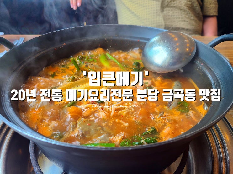 20년 전통의 메기요리전문점 분당 금곡동 맛집 '입큰메기' : 네이버 블로그