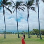 하와이 쿠알로아랜치 공원 포함 포토스팟 공원 3곳 추천