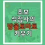 초보식집사의 방울토마토키우기 도전(feat.열매는 나도몰라)