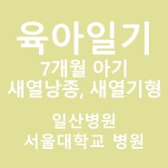 [육아일기] 새열낭종 7개월 아기(일산병원-서울대학교 어린이병원)
