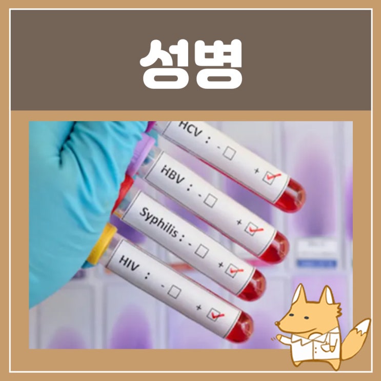 남자 성병검사 가격 : 남자 임질 증상 임질균, 남성 성병 증상 : 네이버 블로그