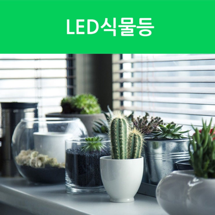 LED식물등 : 네이버 블로그