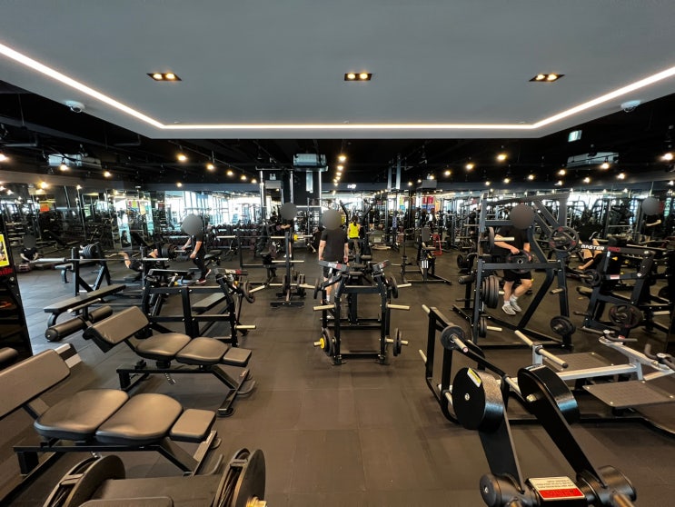 대현동 헬스장 퀄리티가 좋은 센터를 찾으신다면! : 네이버 블로그