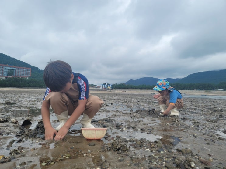 변산농협수련원 근처 두포갯벌체험장후기. 변산해수욕장...