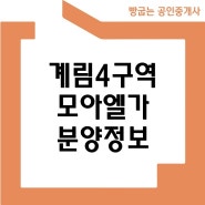 계림4구역 모아엘가 재개발 분양계획