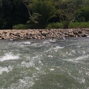 코타키나발루 세번째 여행(4) : 키울루강 래프팅 / 액티비티 추천
