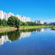 서울 걷기 좋은 길 : 송파 둘레길 탄천 길-수서 역대 모산 입구-서울 둘레길 대모. 우면 코스 1-대모산 도시자연공원