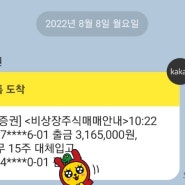 두나무 8월 추가매수