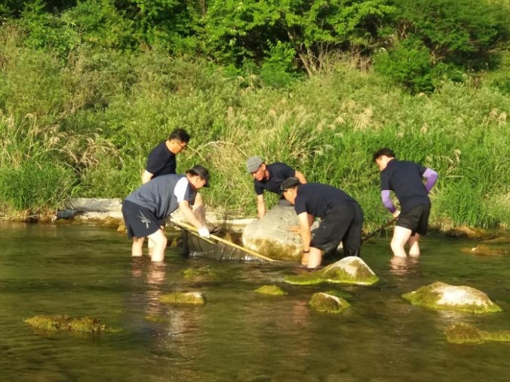 어부사 굴원 _ 漁父辭 屈原 : 네이버 블로그