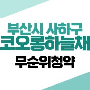 사하 코오롱하늘채 무순위 청약(08.31)
