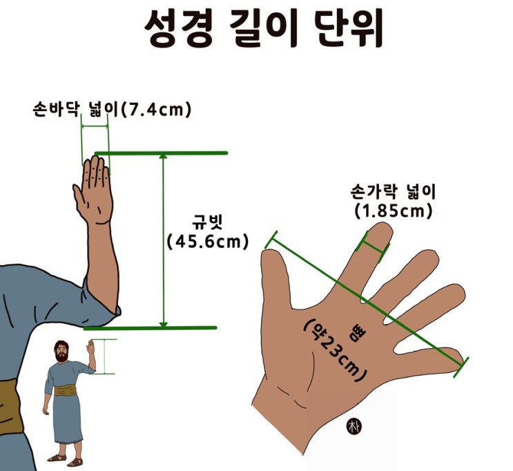 손가락(Finger), 손바닥(Handbreadth), 뼘(Span)-길이 : 네이버 블로그