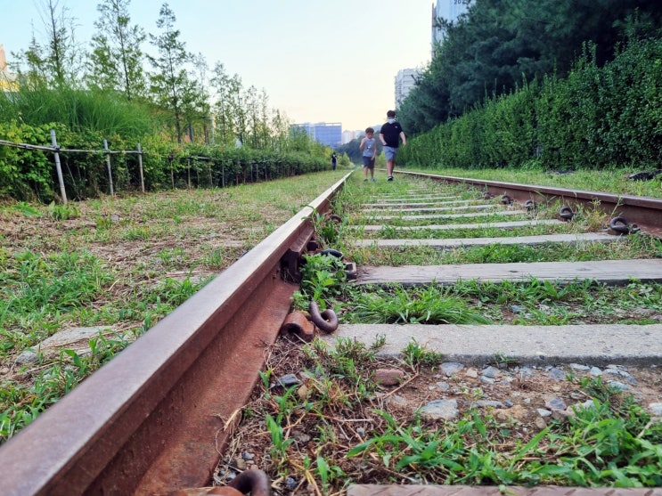 주말 가족 나들이 서울 걷기 좋은길 푸른 수목원 & 항동철길.