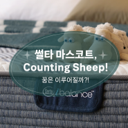 썰타 serta 마스코트, 카운팅 쉽 Counting Sheep! 숙면을 방해하는 꿈은 이루어질까?