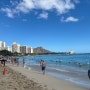 하와이 뚜벅이 여자 혼자 여행 : 호놀룰루 공항에서 와이키키 해변 / 유명 맛집 마루카메 우동 / 버스 이용법