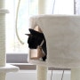 고양이 대형캣타워 1년 넘게 잘 쓰고 있는 신데렐라킹덤 8205H