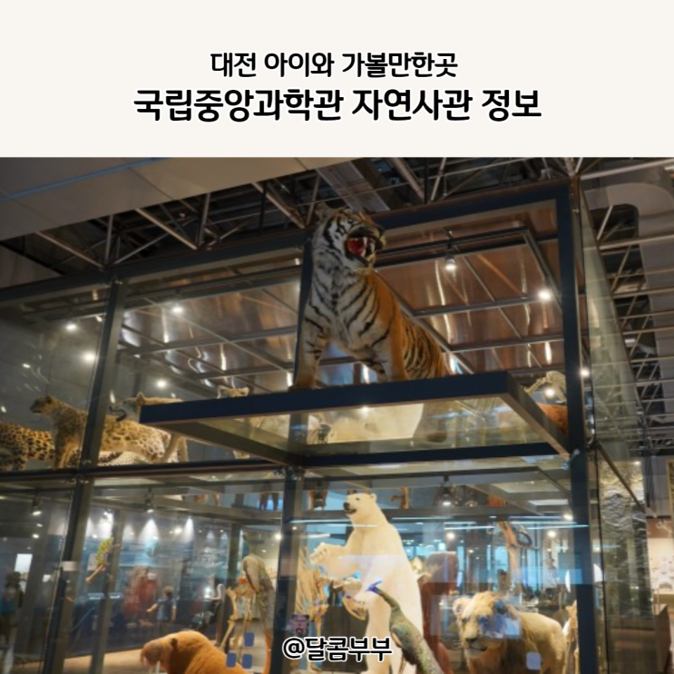 대전 아이와 가볼만한곳 국립중앙과학관 자연사관 정보 보기