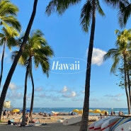 하와이 여행 #1 - 오하우섬/하와이안항공/하얏트/와이키키비치/치즈케잌팩토리
