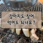 강아지에게 장어 줘도될까? 주의사항은!?