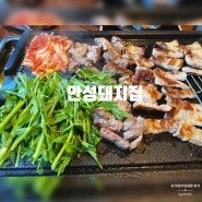 안성 석정동 맛집 안성돼지집 /한경대 맛집 미나리 삼겹살