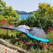 꽃밭에 우산