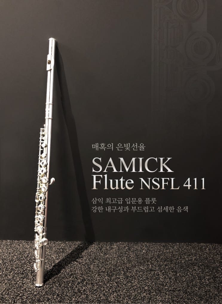 입문용 플룻, 취미용 플루트로 가성비 좋은 삼익 NSFL-411 : 네이버 블로그