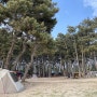 풍경이 끝내주는 마검포 태안 캠핑장/갯벌체험 즐기기