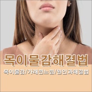 목에 이물감 가래낀 느낌 원인과 해결방법