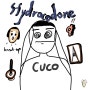 ♪ 쿠코 Cuco - Hydrocodone 가사 해석 이야기