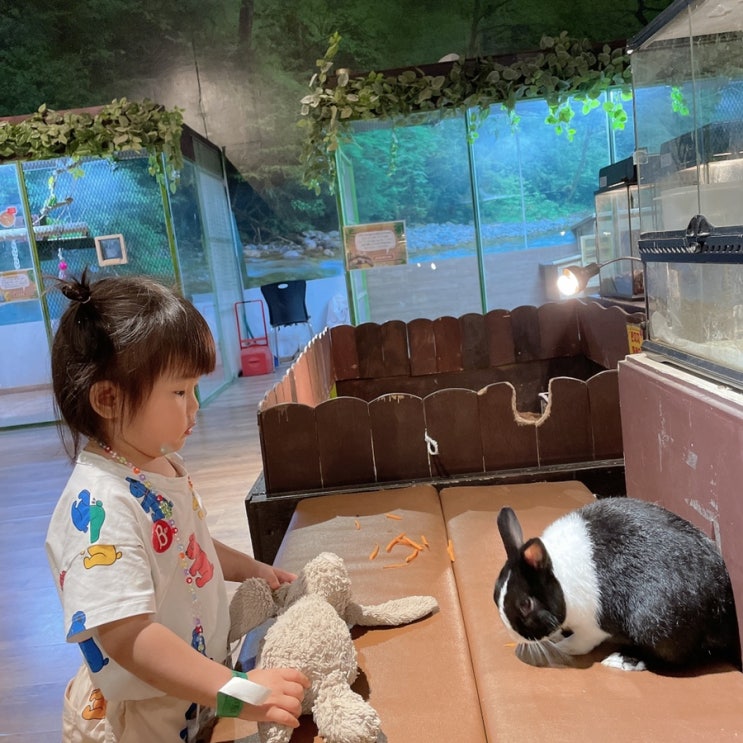 대전 아이가 좋아하는 실내 동물원 티놀자애니멀파크
