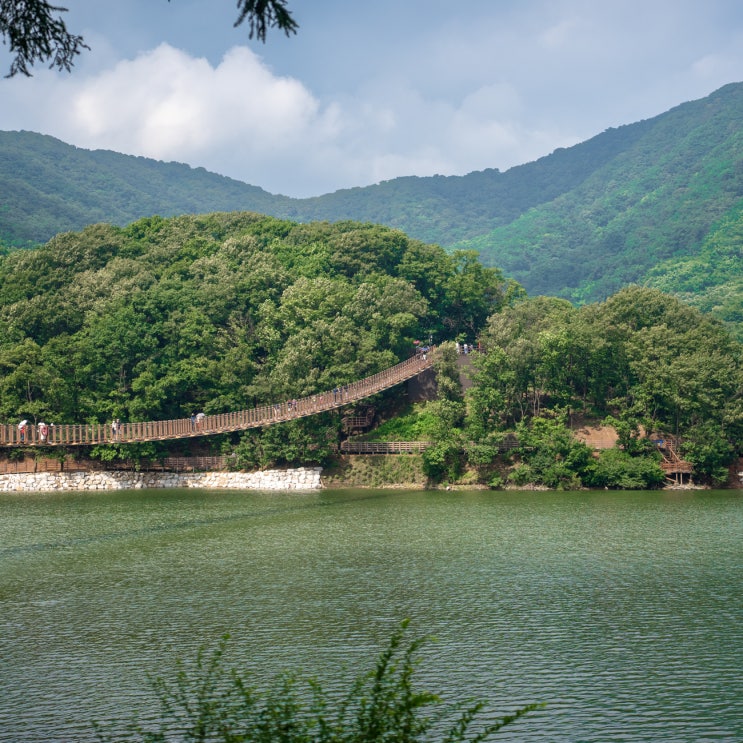 경기 파주 여행 마장호수 출렁다리 (맛집 주차장 카페 애견동반) : 네이버 블로그