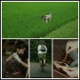 [영화 #9 ] 리틀 포레스트 일본ver. 여름과 가을편/ 잡초 뽑고, 수확하고, 요리하는 일본의 시골 일상.
